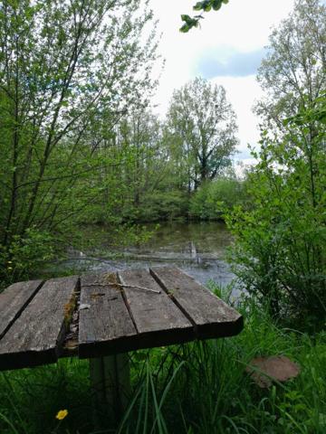 Terrain de loisir et son étang Le Champ Saint Père 6000 m2