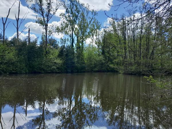 Terrain de loisir et son étang Le Champ Saint Père 6000 m2