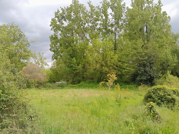 Terrain de loisir et son étang Le Champ Saint Père 6000 m2