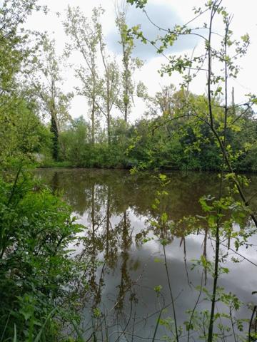 Terrain de loisir et son étang Le Champ Saint Père 6000 m2