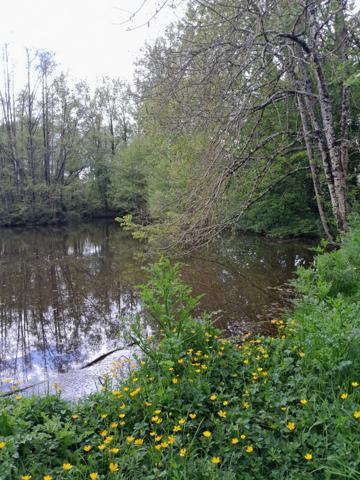 Terrain de loisir et son étang Le Champ Saint Père 6000 m2