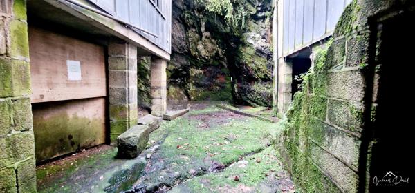 MURS COMMERCIAUX, LOCAL PROFESSIONNEL OU BUREAUX