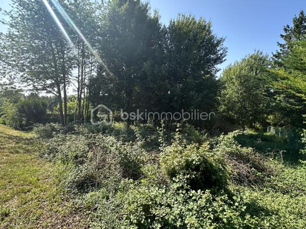 Terrain de 1 000 m²