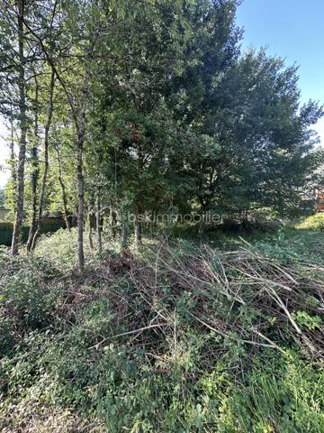 Terrain de 1 000 m²