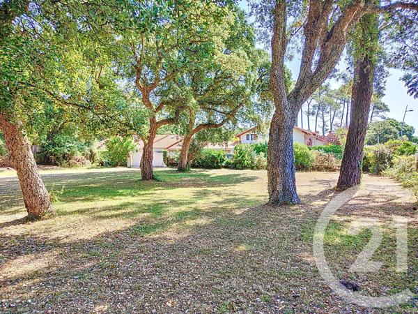 Terrain à vendre  603 m2 LABENNE - 40