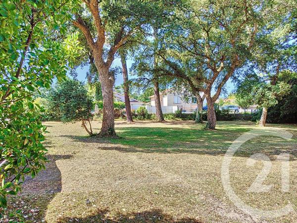 Terrain à vendre  603 m2 LABENNE - 40