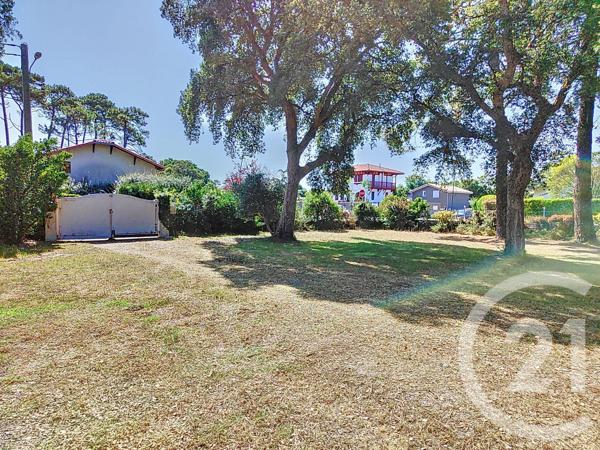 Terrain à vendre  603 m2 LABENNE - 40