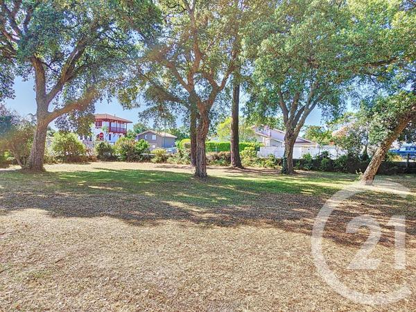 Terrain à vendre  603 m2 LABENNE - 40