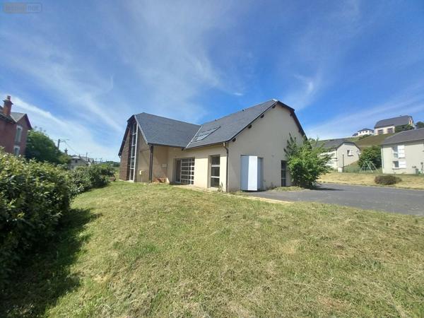 Local mixte (Pro/Hab) à vendre à Allanche dans le Cantal (15160), ref : FG/2208