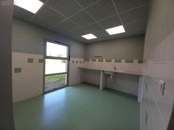 Local mixte (Pro/Hab) à vendre à Allanche dans le Cantal (15160), ref : FG/2208