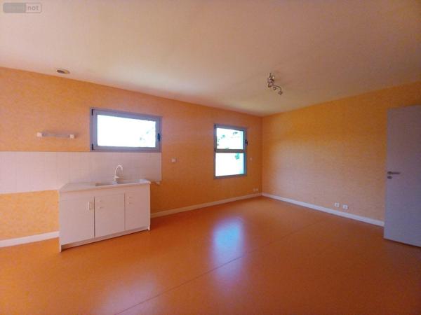 Local mixte (Pro/Hab) à vendre à Allanche dans le Cantal (15160), ref : FG/2208