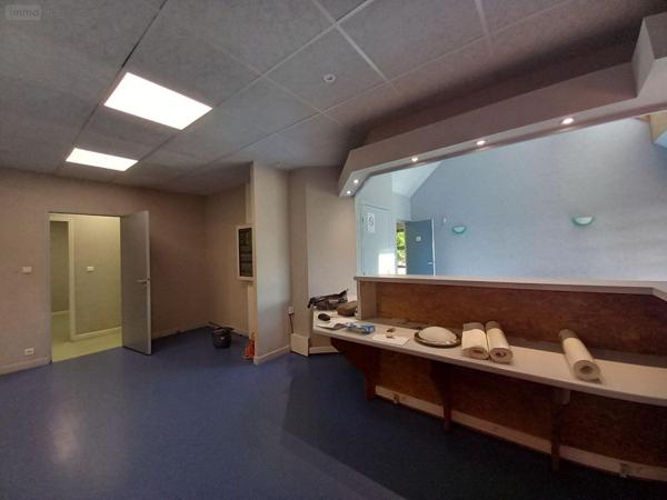 Local mixte (Pro/Hab) à vendre à Allanche dans le Cantal (15160), ref : FG/2208