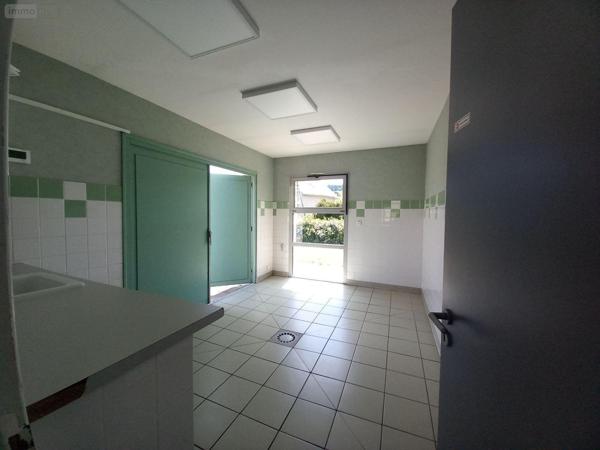 Local mixte (Pro/Hab) à vendre à Allanche dans le Cantal (15160), ref : FG/2208