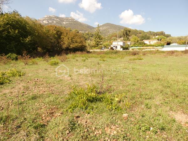 Terrain de 2 078 m²