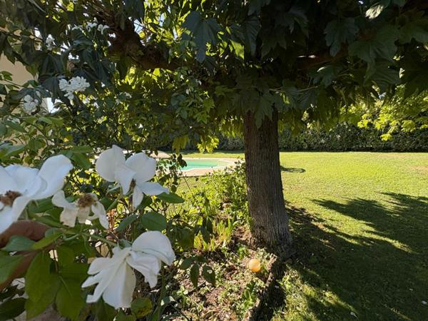 Villa L Isle Sur La Sorgue à deux pas de la sorgue