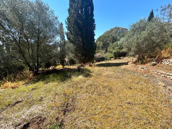 Dpt Var (83), à vendre LES ISSAMBRES maison P7