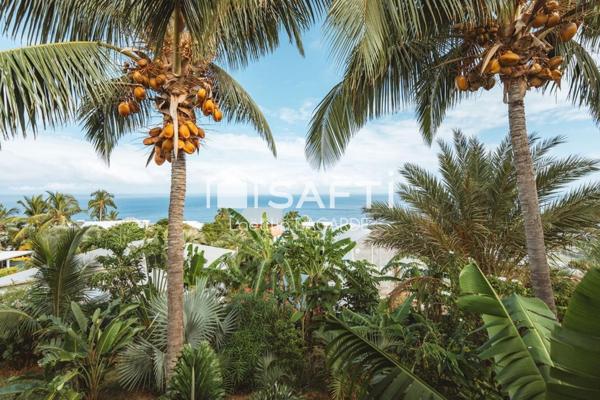 Villa de charme avec vue mer à 180° et jardin tropical – Saint-Leu