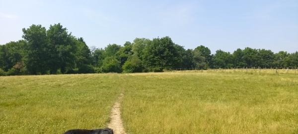 Maison à vendre |  Vanxains |  5 pièces | 142 m²