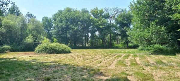 Maison à vendre |  Vanxains |  5 pièces | 142 m²