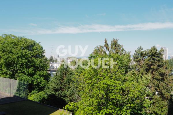 F3 Balcon vue sur Mulhouse