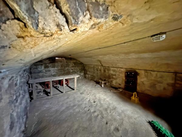 Maison à vendre 5 pièces SAINT MAURICE LES CHATEAUNEUF (71) - 3 chambres - terrain 24000m² - dont 19000m² loué