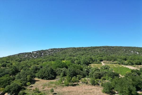 Vente Propriété de luxe Goudargues 11 Pièces 361 m²