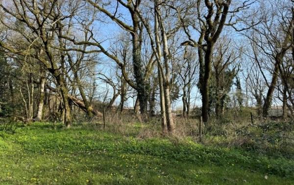 Vente Maison Villefagnan   