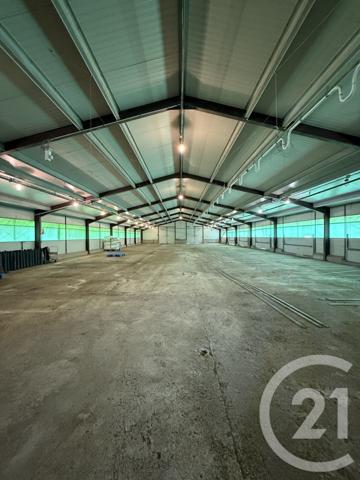 Terrain à vendre  15026 m2 BRESSOLLES - 03