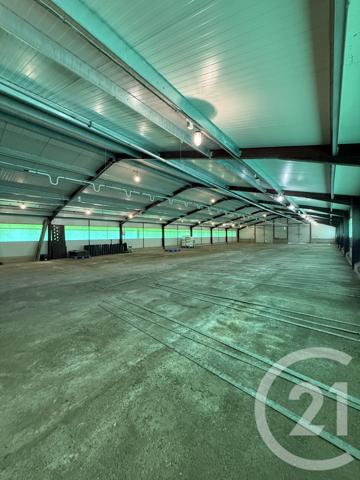 Terrain à vendre  15026 m2 BRESSOLLES - 03