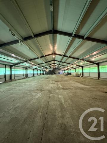 Terrain à vendre  15026 m2 BRESSOLLES - 03