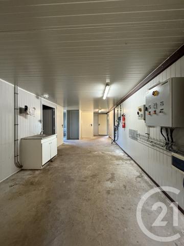 Terrain à vendre  15026 m2 BRESSOLLES - 03