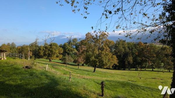 Maison ancienne à rénover de 95 m² + cave + grange agricole de 256 m² environ 
