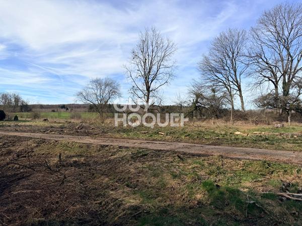 Terrain plat viabilisé Nancray 828 m2