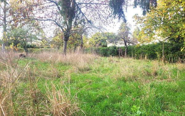 Terrain à vendre    Taverny