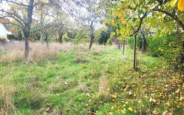 Terrain à vendre    Taverny