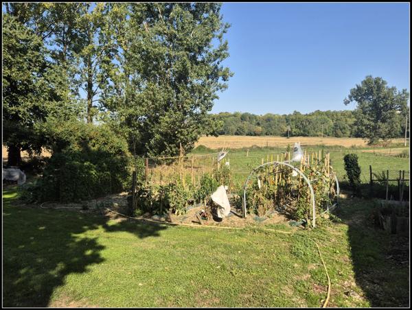 Grande maison familiale ou projet d'accueil-1.6ha. A Moncrabeau (47600)