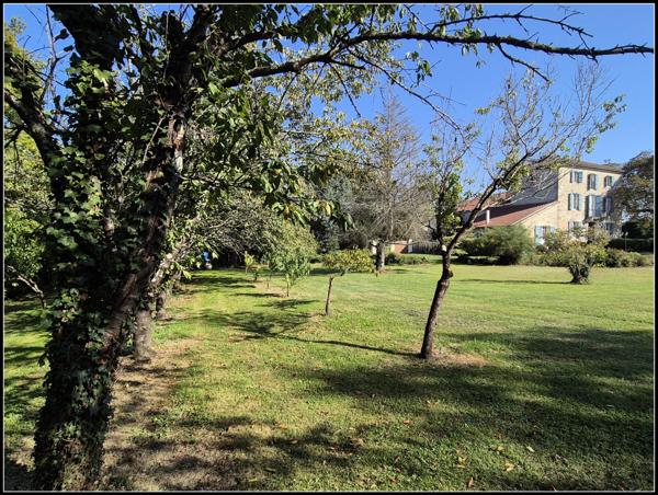 Grande maison familiale ou projet d'accueil-1.6ha. A Moncrabeau (47600)