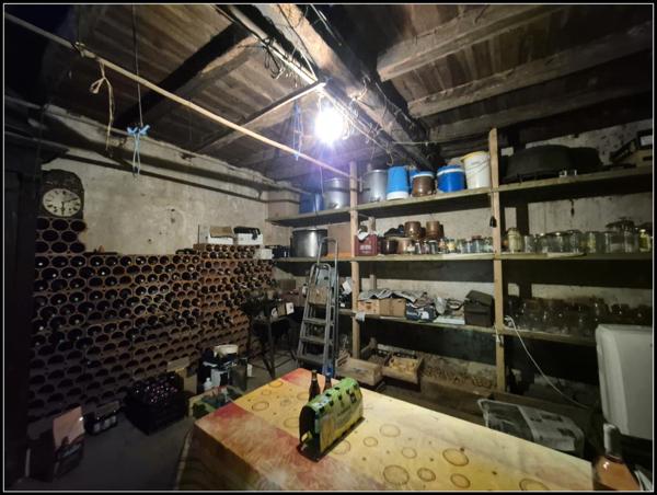 Grande maison familiale ou projet d'accueil-1.6ha. A Moncrabeau (47600)