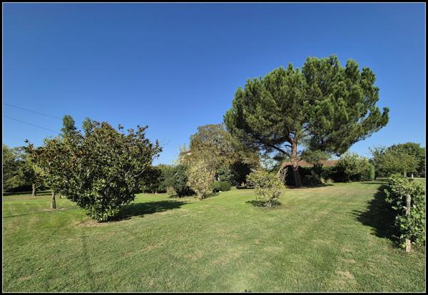 Grande maison familiale ou projet d'accueil-1.6ha. A Moncrabeau (47600)