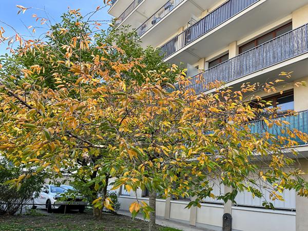 Studio Montreuil de  24,07m² avec  cave, parking et local vélo
