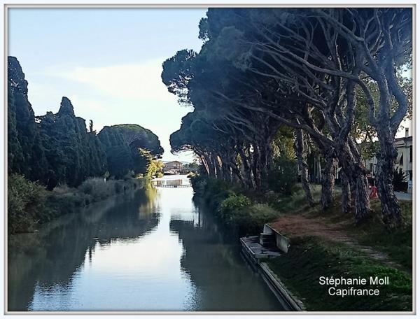 Maison à vendre 6 pièces SALLELES D'AUDE (11)