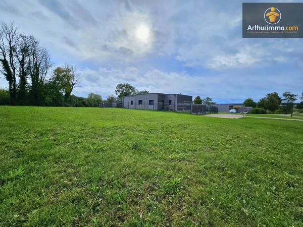 Vente                                                      Terrain
                        
                                         718 m2                     à Cressonsacq
