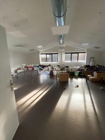 Local de bureaux et salle de réunion Pau nord 370 m2