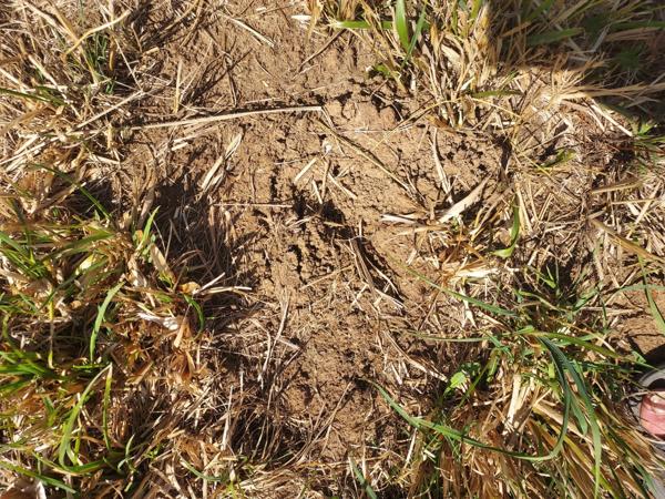 Terrain à vendre de 1 800,00 m² LANZAC (46)
