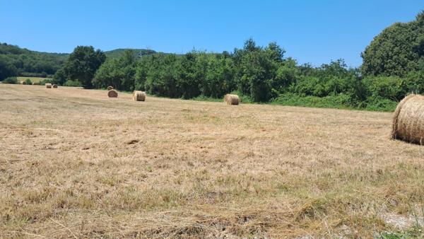 Terrain à vendre de 1 800,00 m² LANZAC (46)