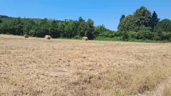 Terrain à vendre de 1 800,00 m² LANZAC (46)