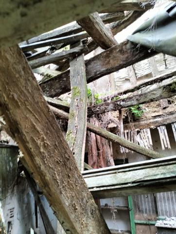 Vente / Programme neuf maison