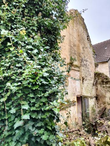 Vente / Programme neuf maison