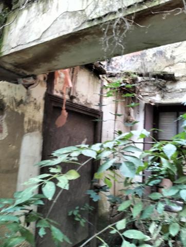 Vente / Programme neuf maison