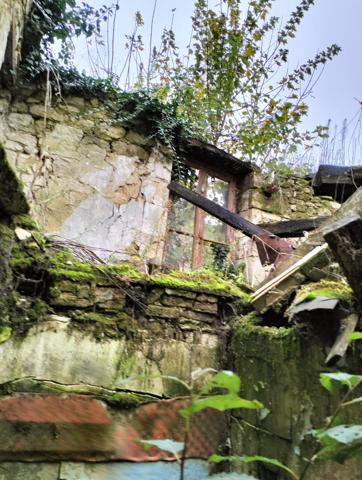 Vente / Programme neuf maison